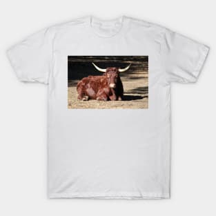 Bull Relaxing T-Shirt